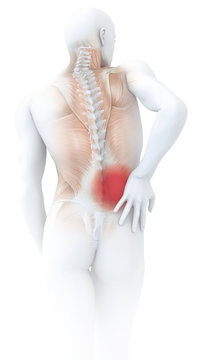 Backache, dorsal pain of a man, medically 3D illustration