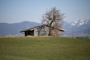 Fototapeta na wymiar Hütte mit altem Baum vor Bergen