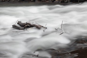 Baumstamm mit Eis im Wasser