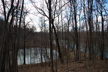 Obraz premium A pond on the banks of the Turovka River in an abandoned park.