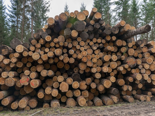 A stack of wooden logs piled on the side of the road