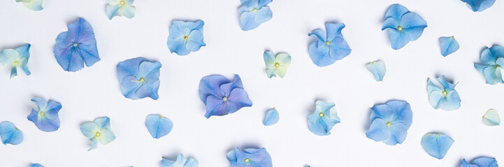 Flowers composition. Floral pattern of blue flowers hydrangea on white background. Creative floral texture. Flowers pattern flat lay. Top view