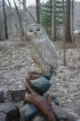  figure of an owl carved from wood on the street in the park