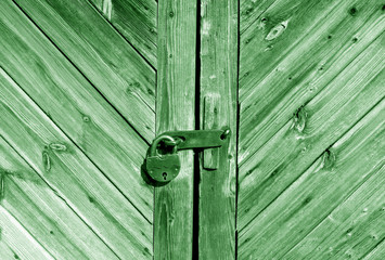 Wooden door with lock in green tone.