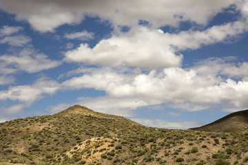 Death Valley Landscapes