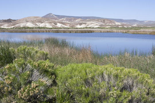 Sheldon Preserve