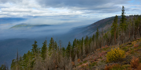 Fototapeta na wymiar Misty mountain landscape. Panoramic view from Green Ridge Lookout in Central Oregon.