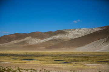 Fototapeta na wymiar Dry landscapes in Cordillera Real, Andes, Bolivia