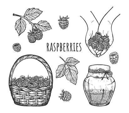 Raspberry harvest and sweet jam set