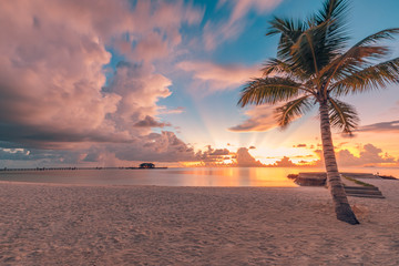 Beautiful sunset over the sea with a view at palms on the white beach. Paradise island coastline,...
