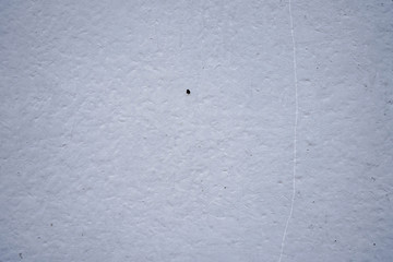  wall of a typical panel apartment building
