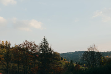Mountain autumn landscape with colorful forest and mountains.