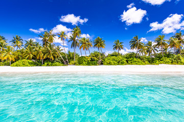 Fototapeta na wymiar Summer beach landscape. Tropical island view, palm trees and amazing blue sea. Amazing beach scenery, white sand, exotic travel destination. Maldives beach landscape, idyllic landscape