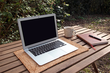 Home working in garden with laptop