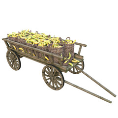 Harvest ripe tasty bananas in wicker baskets