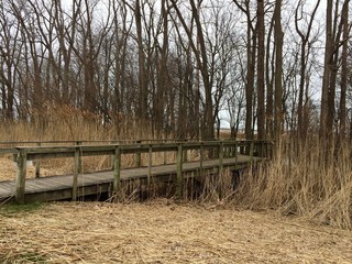 old wooden bridge over a creek