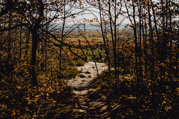 Au bout de la randonnée, vue sur les forêts de l'Ontario