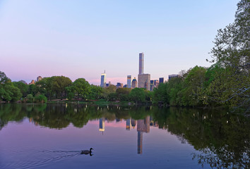 Obraz premium Manhattan mirrored from water and duck in Central Park