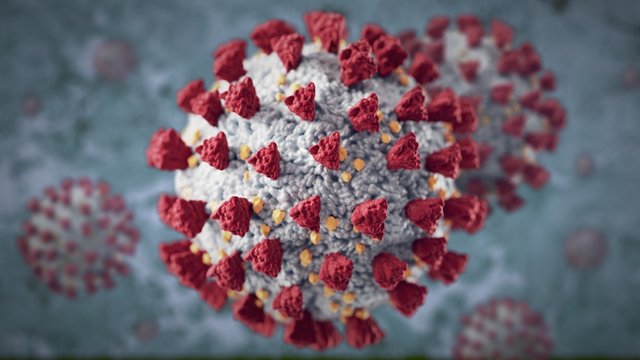 Corona virus closeup