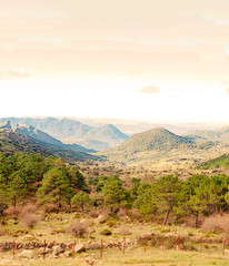Mountains of Grazalema in Spain