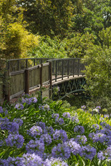 Fototapeta premium Wood bridge in the garden