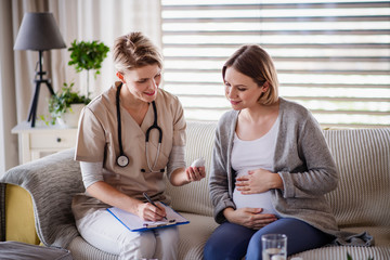 A healthcare worker examining pregnant woman indoors at home.