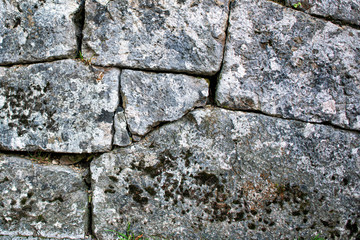 Texture wall made of big grey stones covered with moss.