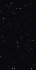 Fototapeta premium Network Mesh Procedural Art background illustration