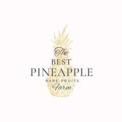 Pineapple Farms Abstract Vector Sign, Symbol or Logo Template. Hand Drawn Pineapple Sketch with Retro Typography. Vintage Luxury Emblem.