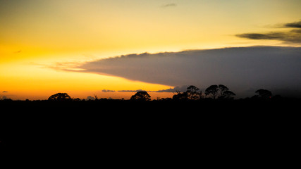 Silhouette Sunsey 