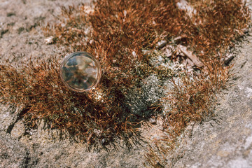 a glass ball on stone herb in spring
