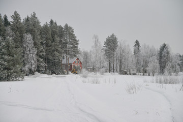 Petite cabane rouge dans la forêt enneigée du nord arctique près de Luleå en Suède