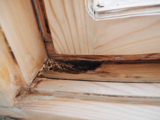 Old white wooden window restoration renovation recovery