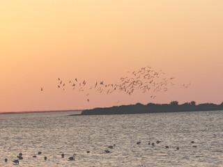 Atardecer
