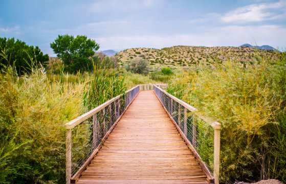 Bridge in Nature - Bosque del Apache