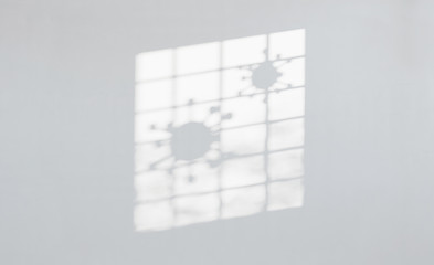 Shadow overlay effect. Soft light and shadows from a caged prison window with corona virus corona covid-19 microbe. Concept of isolation and Quarantine. Realistic 3d render illustration