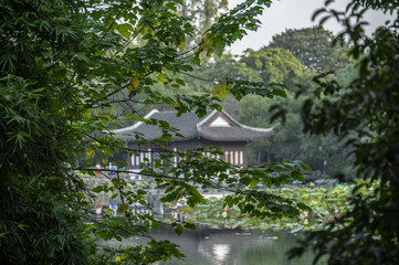 japanese garden