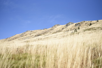 Bieszczady Mountain park with top view in high sun