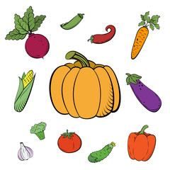 Hand drawn sketch set vegetables in style retro. Organic vegetarian food