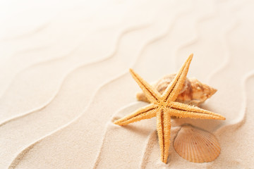 Fototapeta na wymiar soft focus summer beach background with shell Seastar, vacation and travel concept, Flat lay top view copy space, Minimal exotic concept. Creative layout of sand waves.