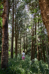 Caucasian men walking and exploring a trek trail in a forest