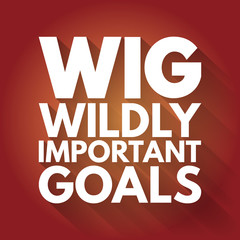 WIG - Wildly Important Goals acronym, business concept background