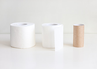 Roll of toilet paper and empty toilet roll