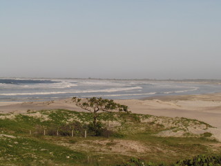 Partial view of Praia Grande in dry foggy day.