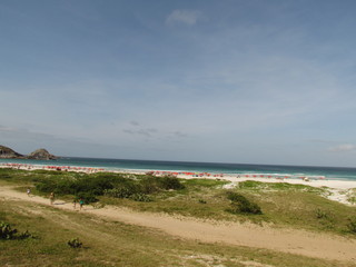 Spring morning at the beach with high tide.