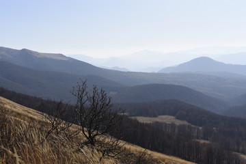 Bieszczady Mountain park with top view in high sun
