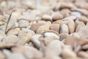 Light beige sandstone pebbles side view background texture