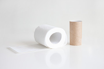 Roll of toilet paper and empty toilet roll