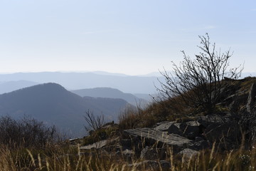 Bieszczady Mountain park with top view in high sun
