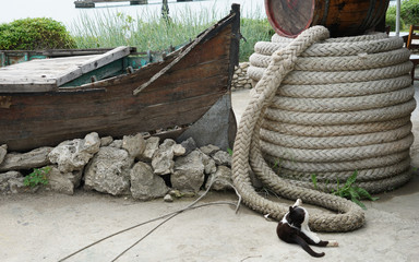 Altes Boot und Tauwerk mit Katze